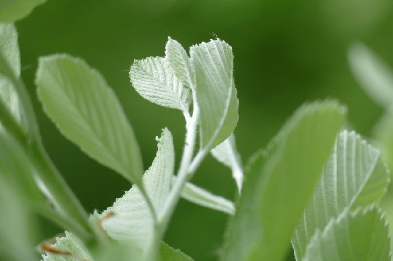 Natur-Aktiv-Hof Thiem 포텐스타인 외부 사진